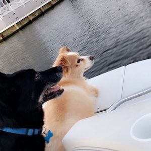 Meet your Posher, Jill